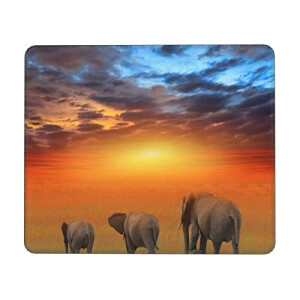 Tapis de souris Éléphant adorable éléphant sauvage 17.8x21.8 cm