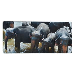 Tapis de souris Éléphant eau potable éléphant 40 x 90 40x90 cm