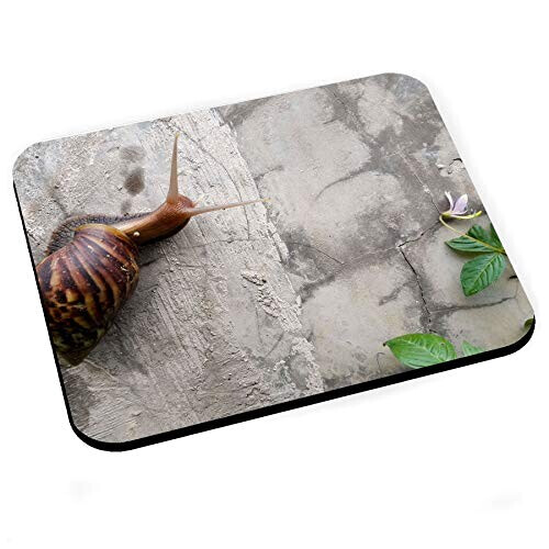 Tapis de souris Escargot 200x240 mm