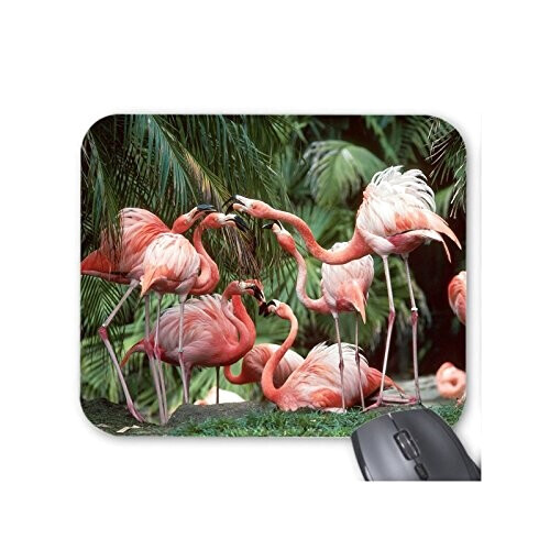 Tapis de souris Flamant rose rose