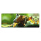 Tapis de souris Grenouille noir 80 x 30 80x30 cm - miniature