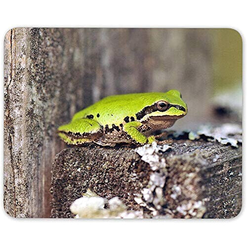 Tapis de souris Grenouille mousepad- 25x20 cm