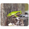 Tapis de souris Grenouille mousepad- 25x20 cm - miniature variant 1
