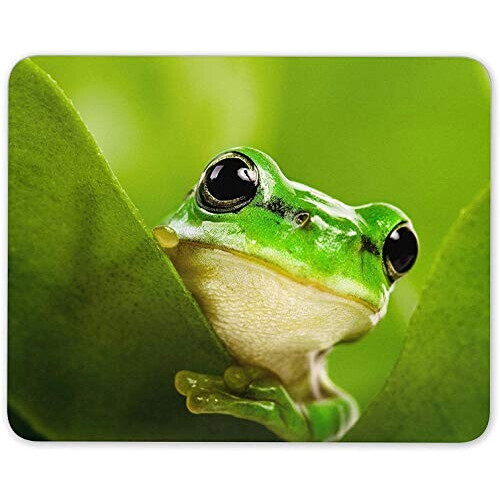 Tapis de souris Grenouille mousepad- 25x20 cm