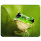 Tapis de souris Grenouille mousepad- 25x20 cm - miniature variant 1