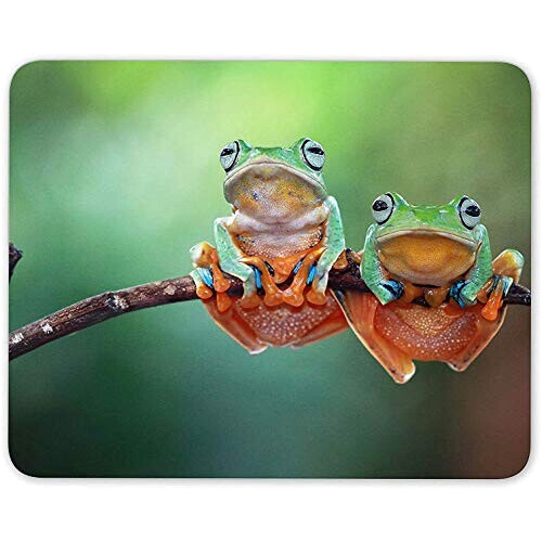Tapis de souris Grenouille mousepad- 25x20 cm