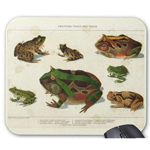 Tapis de souris Grenouille