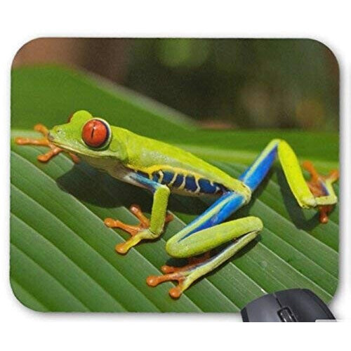 Tapis de souris Grenouille