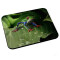 Tapis de souris Grenouille 200x240 mm - miniature