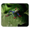 Tapis de souris Grenouille 200x240 mm - miniature variant 1