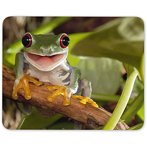 Tapis de souris Grenouille mousepad- 25x20 cm