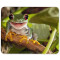 Tapis de souris Grenouille mousepad- 25x20 cm - miniature variant 1