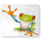 Tapis de souris Grenouille yt 220x180 mm - miniature