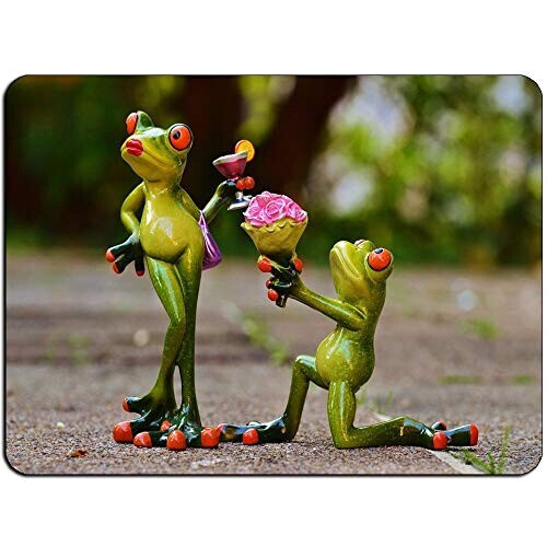 Tapis de souris Grenouille yt 220x180 mm