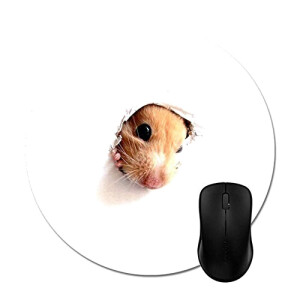 Tapis de souris Hamster 200x200 mm