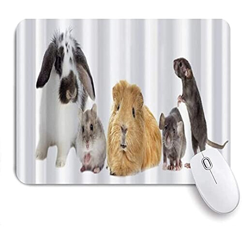 Tapis de souris Hamster mousepad- 25x20 cm
