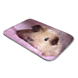 Tapis de souris Hamster d-couleur- 60 x 40 60x40 cm