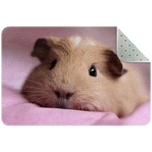 Tapis de souris Hamster 60 x 40 60x40 cm