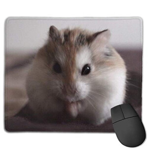 Tapis de souris Hamster