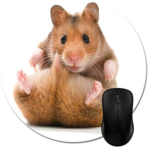 Tapis de souris Hamster 200x200 mm