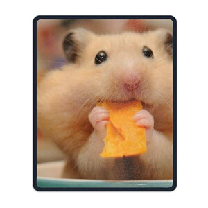 Tapis de souris Hamster
