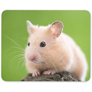 Tapis de souris Hamster mousepad- 25x20 cm