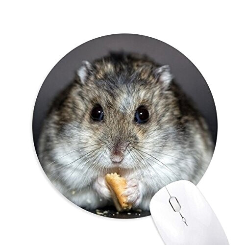 Tapis de souris Hamster 20x20 cm