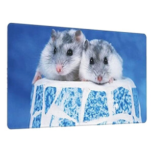 Tapis de souris Hamster 40 x 75 40x75 cm