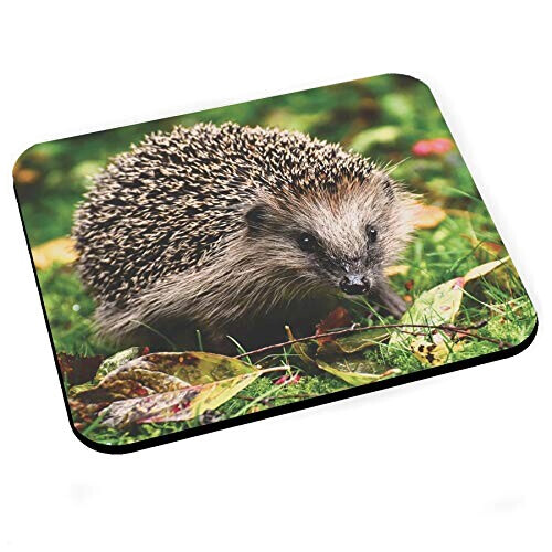 Tapis de souris Hérisson 200x240 mm