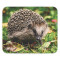 Tapis de souris Hérisson 200x240 mm - miniature variant 1