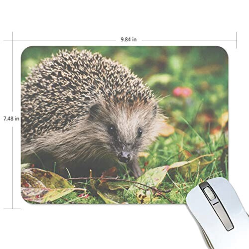 Tapis de souris Hérisson multicolore 190x250 mm