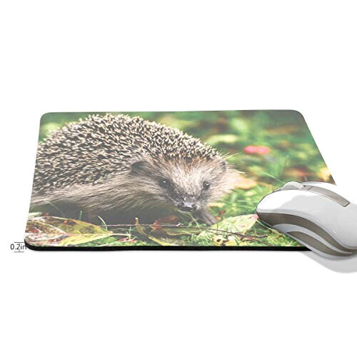 Tapis de souris Hérisson multicolore 190x250 mm variant 0 
