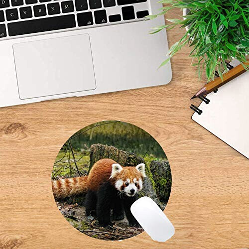 Tapis de souris Hérisson multicolore 23x23 cm variant 0 