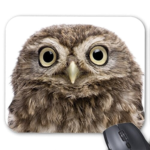 Tapis de souris Hibou