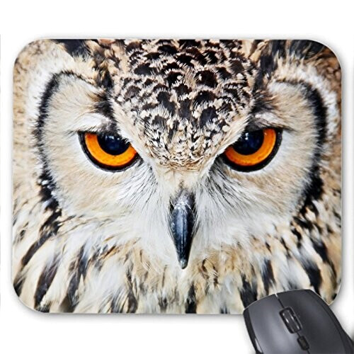 Tapis de souris Hibou