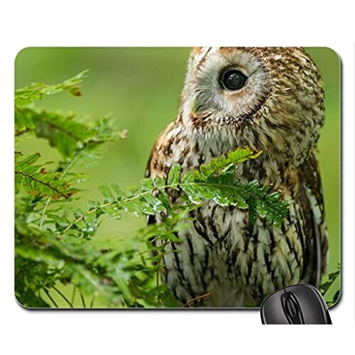 Tapis de souris Hibou 24x20 cm