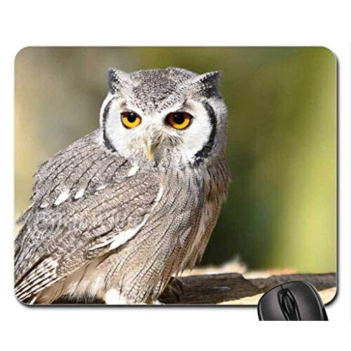 Tapis de souris Hibou