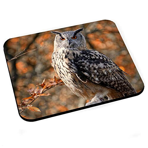 Tapis de souris Hibou 200x240 mm