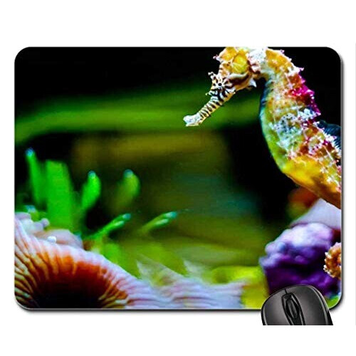 Tapis de souris Hippocampe