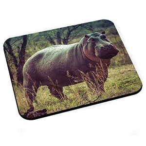 Tapis de souris Hippopotame 200x240 mm