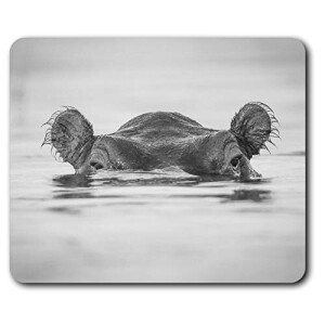 Tapis de souris Hippopotame multicolore 23.5x19.6 cm