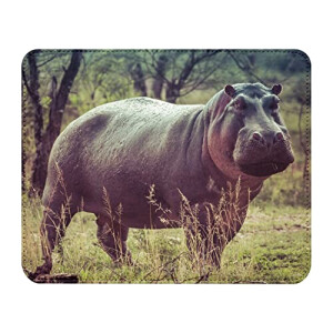 Tapis de souris Hippopotame 22x18 cm