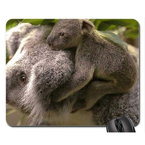 Tapis de souris Koala