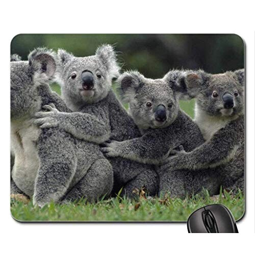 Tapis de souris Koala