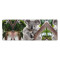 Tapis de souris Koala noir 80 x 30 80x30 cm - miniature