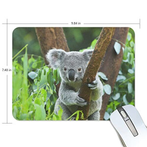 Tapis de souris Koala multicolore 190x250 mm