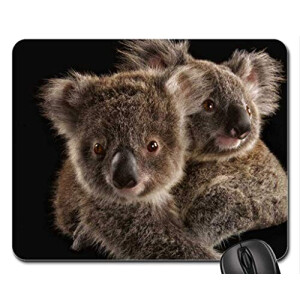 Tapis de souris Koala