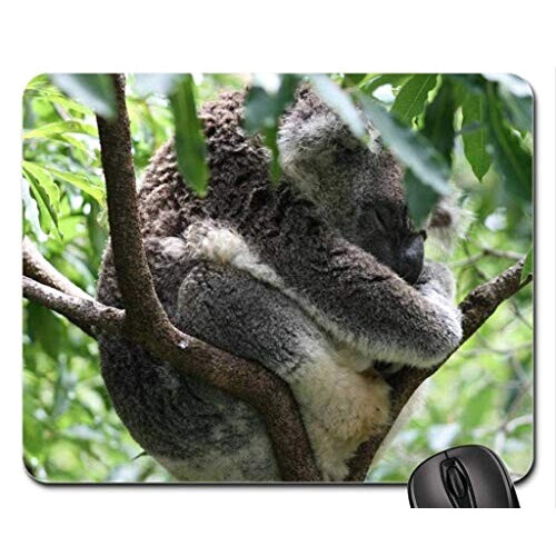 Tapis de souris Koala