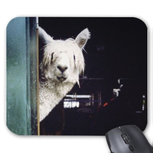 Tapis de souris Lama