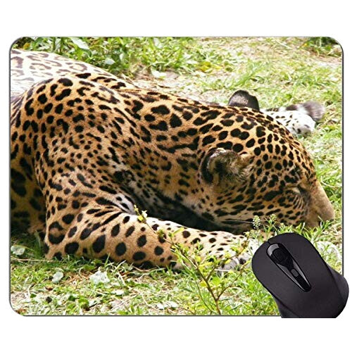 Tapis de souris Léopard yt 22x18 cm